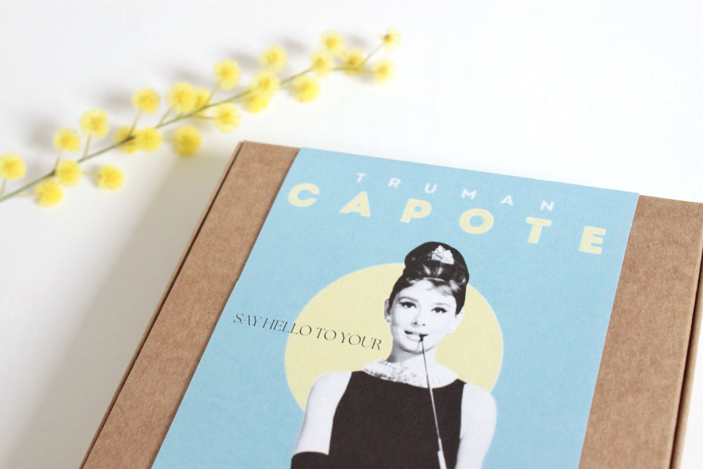 Ritratto Audrey Hepburn