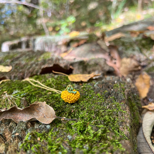 Collana Autunno Zucca